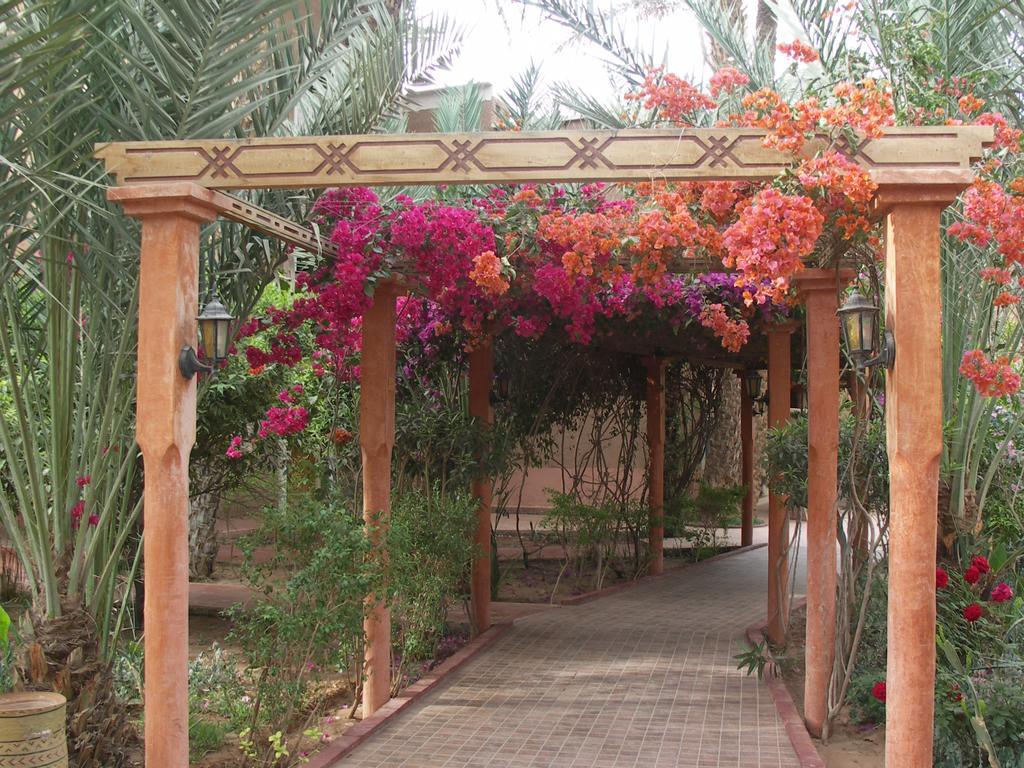Fibule Du Draa Kasbah D'Hotes Zagora Exterior foto