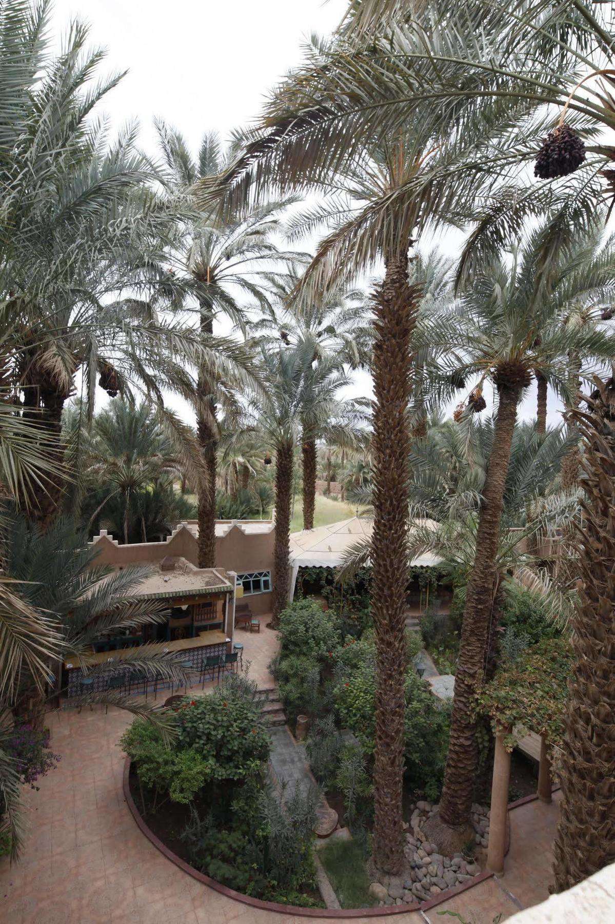 Fibule Du Draa Kasbah D'Hotes Zagora Exterior foto
